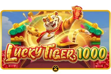 567 bet login cadastro